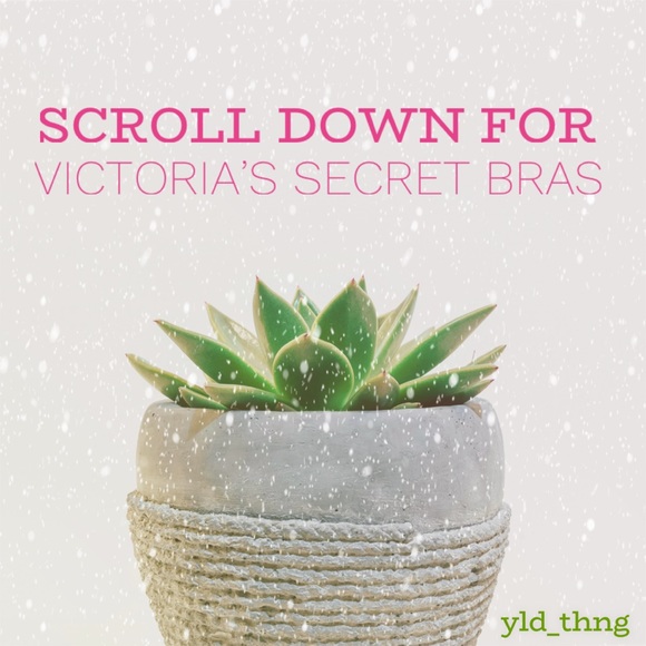 Need Bras? - Picture 1 of 1